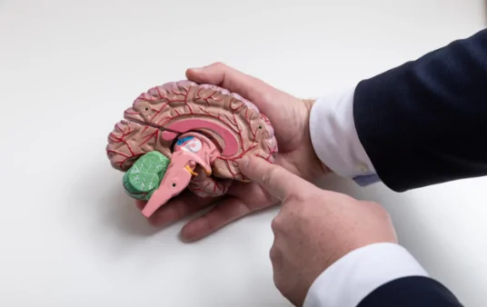 CSF Shunts for Hydrocephalus