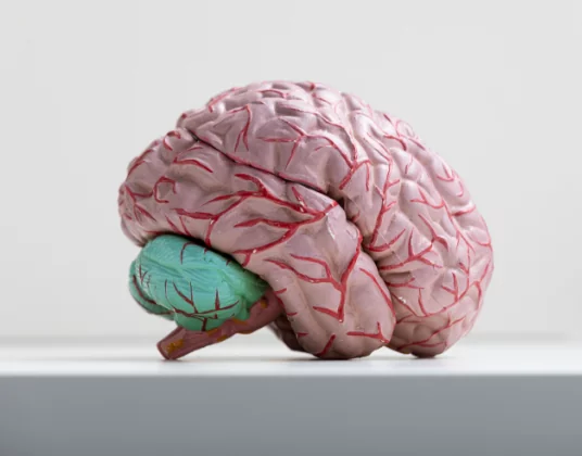 Paediatric Brain Tumours