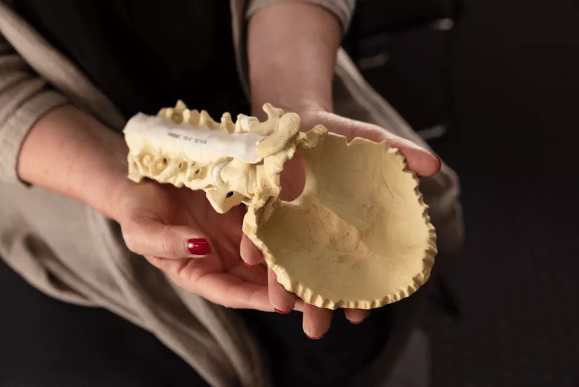 What is a cervical laminectomy