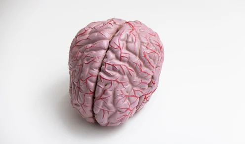 what is Deep Brain Stimulation
