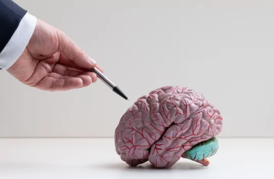 what is Idiopathic Normal Pressure Hydrocephalus