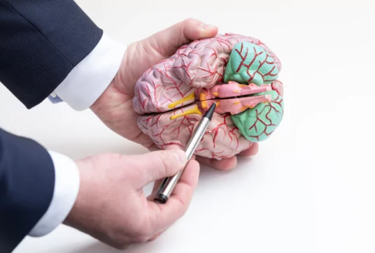 what is an Endoscopic third ventriculostomy